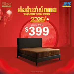 Eliza Brownie Pocket Spring