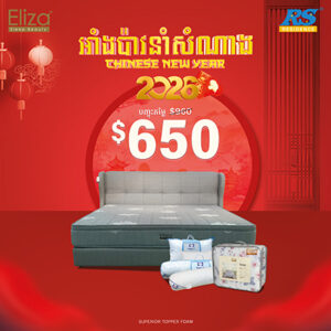 Eliza Mattress Sleep Beauty Superior Topper Foam Gray